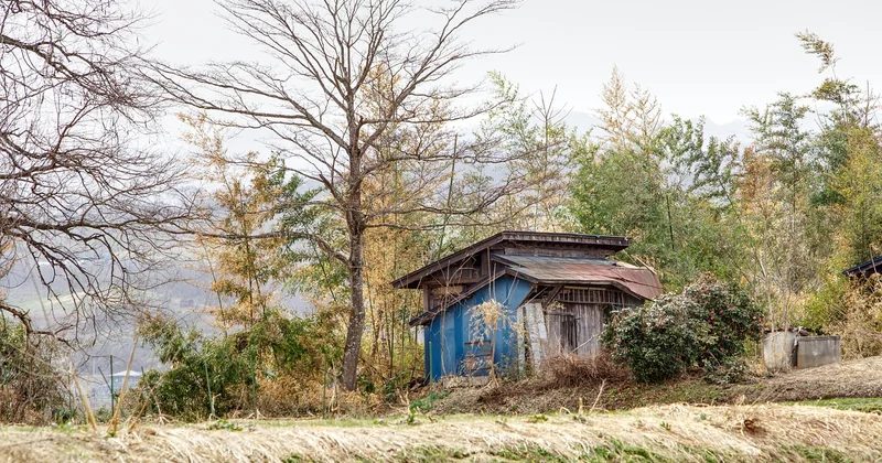 Matériaux et environnement agricole : ce que l'ammoniac fait à votre porte