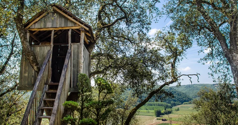 Que faire dans une cabane en carton ?