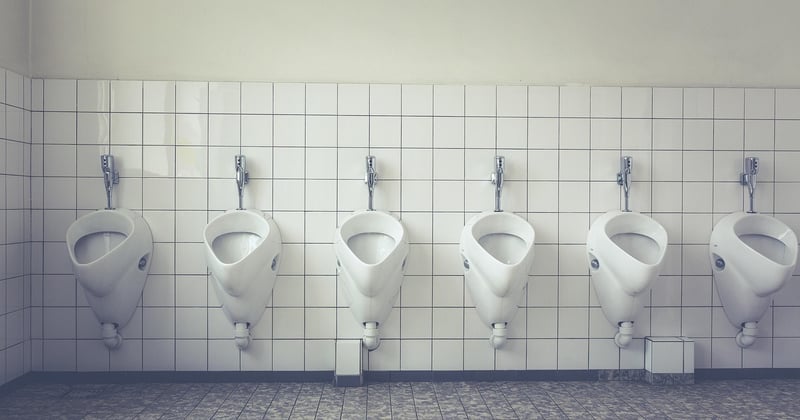 Vers noir dans les toilettes : comment s'en débarrasser définitivement