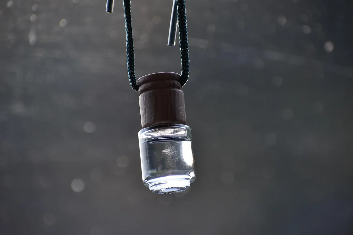 Au-delà des plantes : la boîte à outils 2026